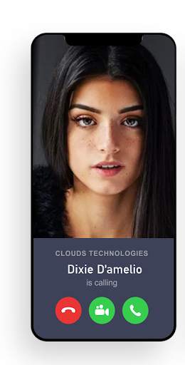 Talk To DAmelio Dixie - Call/Chat Simulator screenshot 1