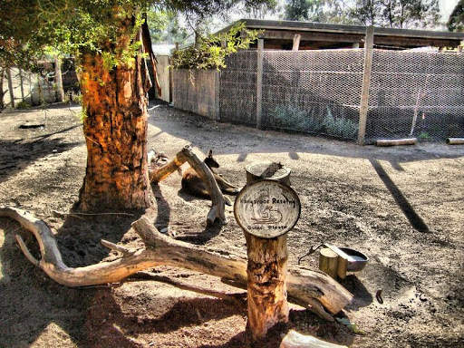 Ultimate HDR Camera screenshot 22