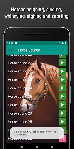 Horse Sounds and Ringtone free screenshot 4