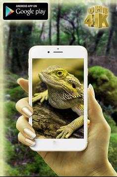 Digital Zoom Camera 360 Pro screenshot 3