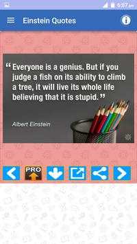 Albert Einstein Quotes Full screenshot 2
