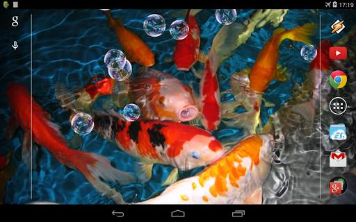 Koi Live Wallpaper screenshot 4
