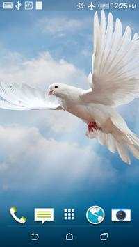 Beautiful Doves Wallpaper screenshot 3