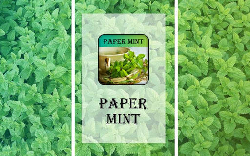Papermint screenshot 2