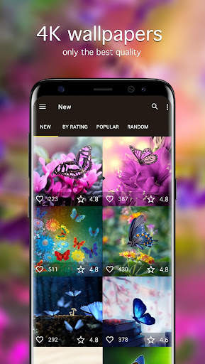 Butterfly Wallpapers 4K screenshot 1