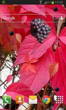 Autumn Grapes LWP screenshot 2