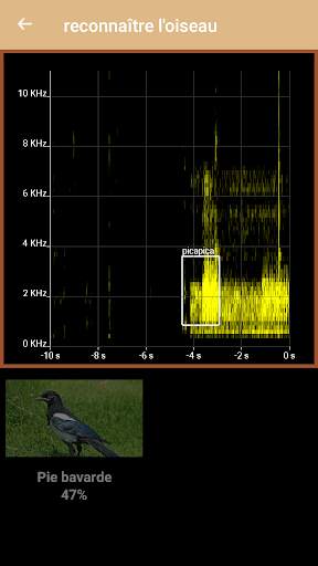 Identification des  oiseaux screenshot 2