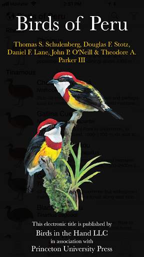 Birds of Peru screenshot 1