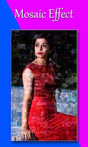 Mosaic Effect Photo Editor :Mosaic Photo Effect screenshot 4