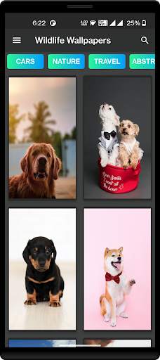 Wallpapers And Ringtones App screenshot 6