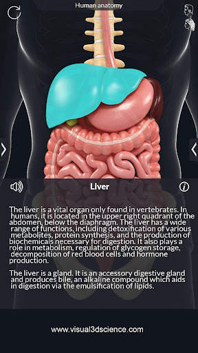My Organs Anatomy screenshot 3