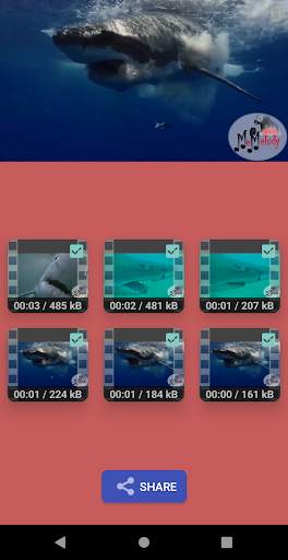 Video Splitter screenshot 1