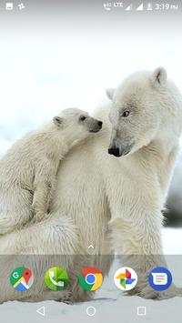 Wild Animal Wallpapers HD 4 تصوير الشاشة