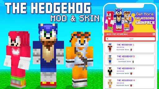 Mod The Hedgehog for MCPE screenshot 1