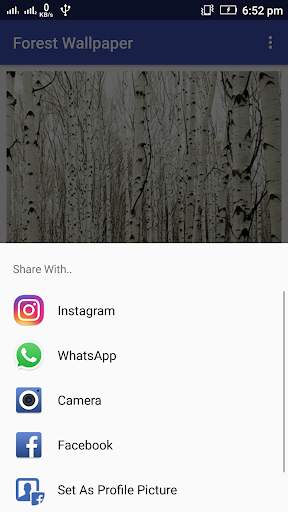 Forest Wallpaper screenshot 7