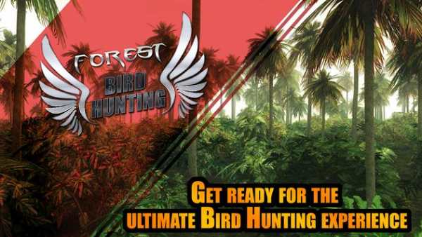 Forest Birds Hunting screenshot 1