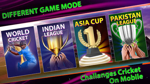 Play With Friends-Real Cricket Craze screenshot 2