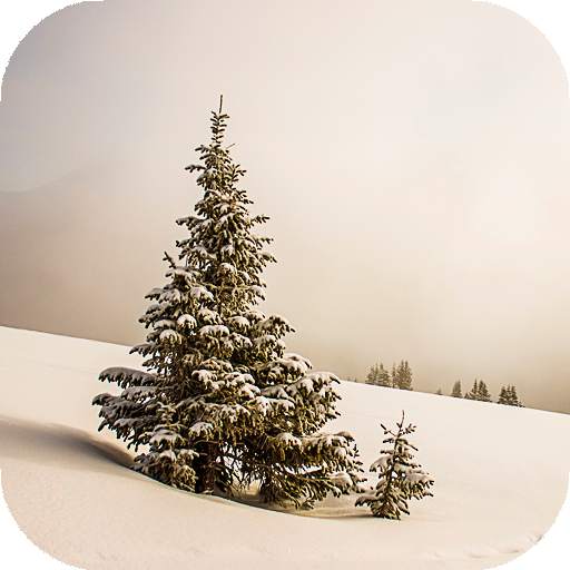 Winter Wallpapers HD (backgrounds & themes) 16.0