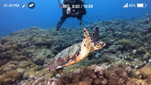 Underwater Filter Camera screenshot 2