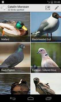 Bird Watcher screenshot 6