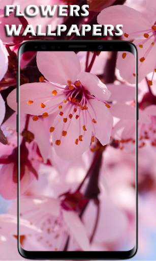Flowers Wallpapers Ultra HD - Flowers 4K Wallpaper screenshot 4