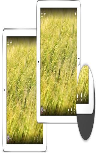 pixabay video screenshot 6