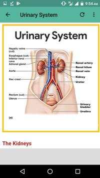 Anatomy and physiology скриншот 3
