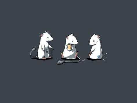 Funny Wallpapers screenshot 4