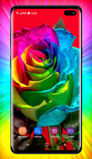 Rose Wallpaper 4 تصوير الشاشة