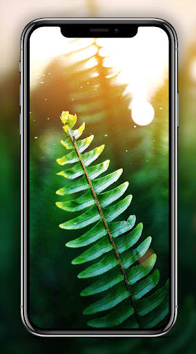 Green Wallpaper screenshot 2