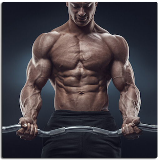 Advance Workout Traning : Excercise at Home or Gym icon