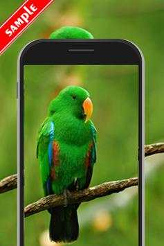 Camera HD 36 Megapixel 1 تصوير الشاشة