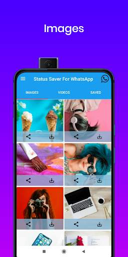 Status Saver For WhatsApp & WhatsApp Business screenshot 3