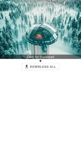 Insta Saver(Photo & Video Downloader) screenshot 4