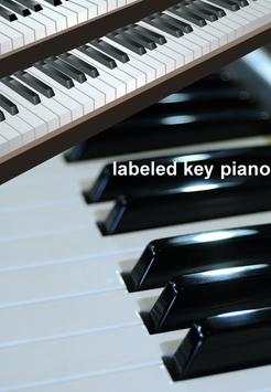 labeled key piano screenshot 2