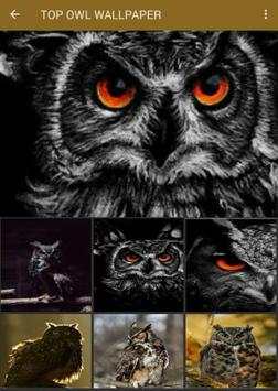 Cool Owl Wallpaper скриншот 3