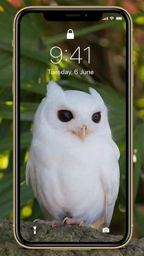 Bird Wallpapers HD Special screenshot 6