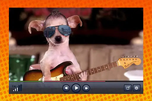 Funny Videos screenshot 1