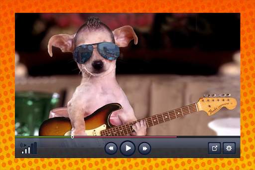 Funny Videos screenshot 1