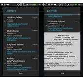 Licenses Dialog Demo 2.0