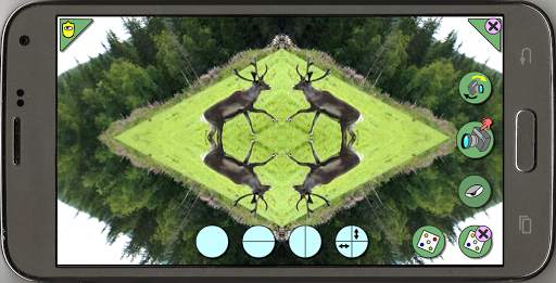 Mirror Camera screenshot 3