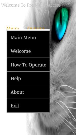 Free WiFi Access screenshot 10