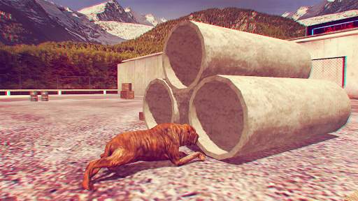 Fila Brasileiro Simulator screenshot 5