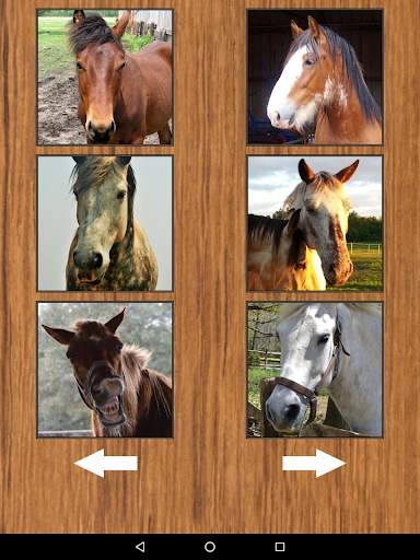 Funny Horse Farm Sounds screenshot 8
