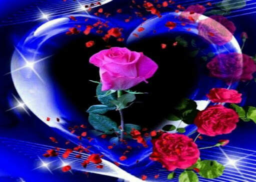 Wonderful Flowers Roses Animated images Gif 1 تصوير الشاشة