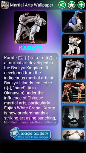 Martial Arts Wallpaper screenshot 5