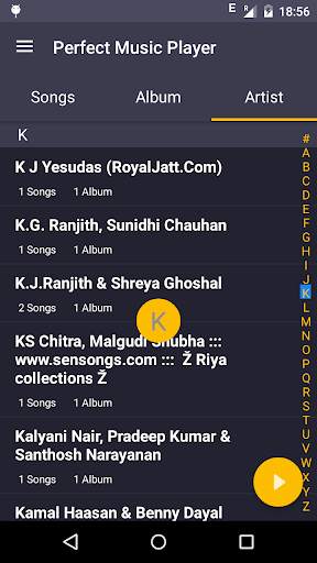 Perfect Music Player PMP 5 تصوير الشاشة