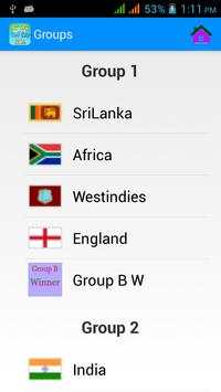 Cricket World Cup T20  16 screenshot 6