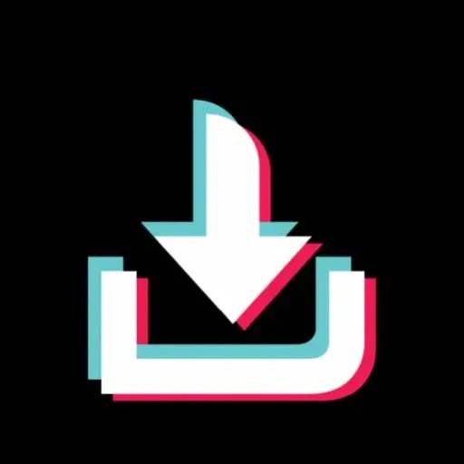 Video Downloader for TikTok  2021 1.3