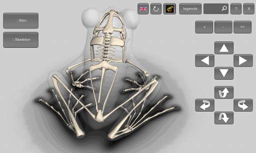 3D Frog Skeleton screenshot 3
